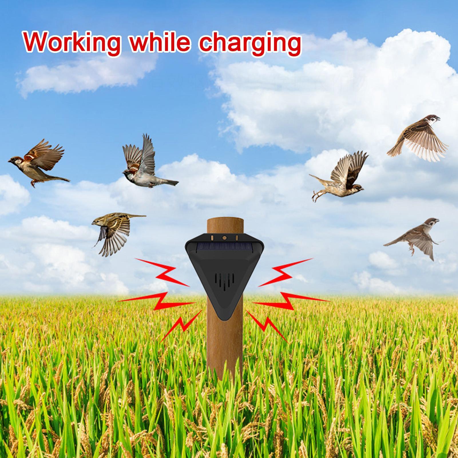 Solar Timer Bird Repeller With - đánh giá và giá Outdoor Power With Timer