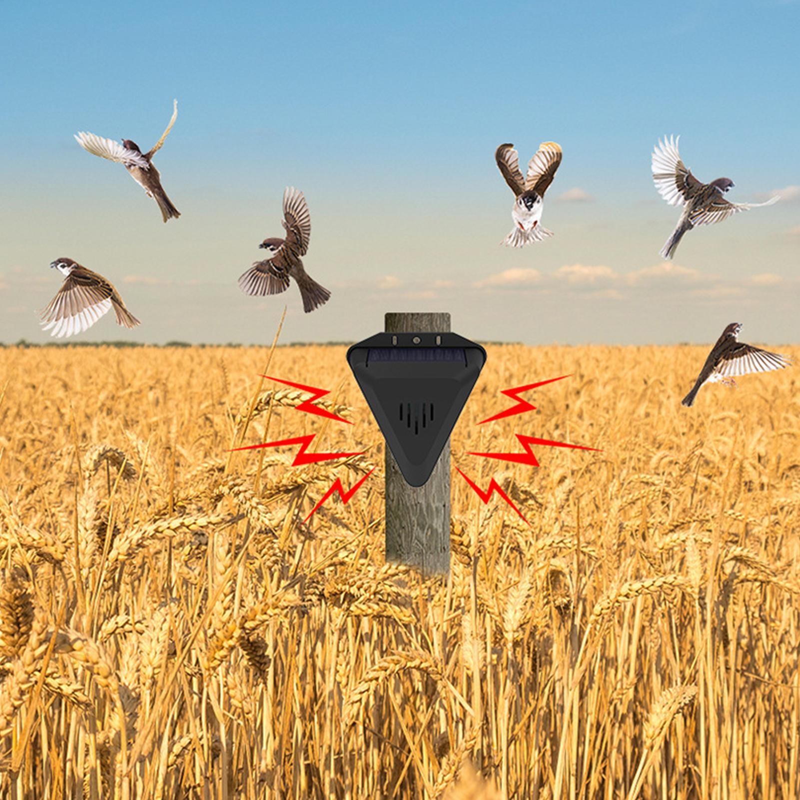 Solar Timer Bird Repeller With - đánh giá và giá Outdoor Power With Timer