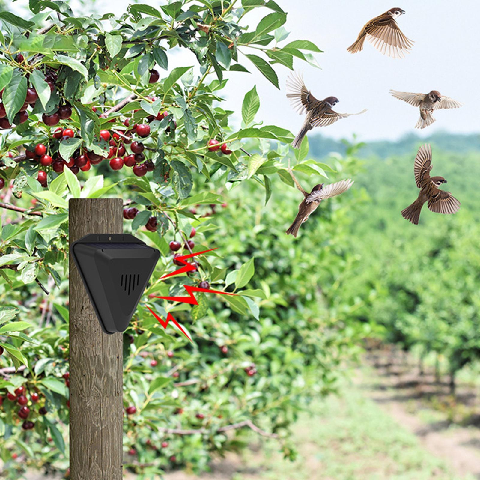 Solar Timer Bird Repeller With - đánh giá và giá Outdoor Power With Timer